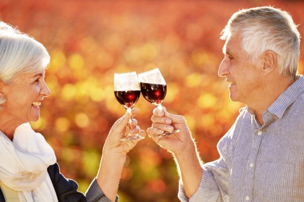 Two adults over 50 raising glasses while spending time together outdoors